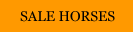 SALE HORSES